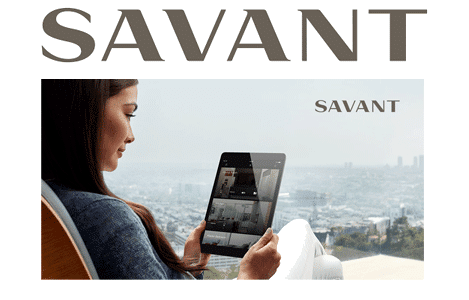 savant