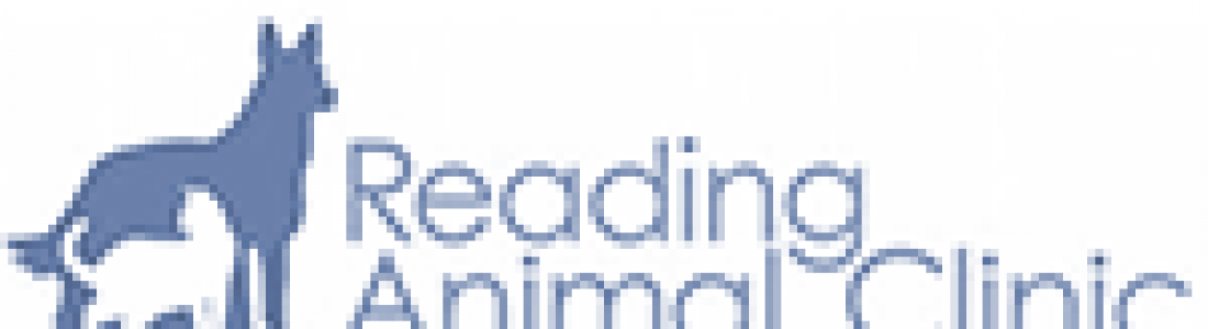 Reading Animal Clinic